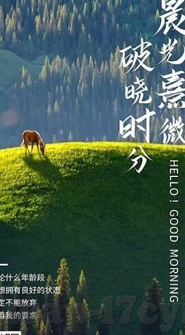 91麻豆传媒在线观看-纵览视听盛宴，91麻豆传媒在线的多元魅力