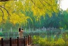 精品人妻1区-精品人妻的魅力，一区独特的生活哲学与情感细腻