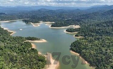麻豆传媒app网址-深度视角，直击数字娱乐新纪元——麻豆传视界的独特魅力