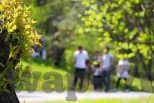 麻豆传媒国产可以在哪看-多媒体盛宴，揭秘麻豆传媒国产的寻找路径与欣赏之道