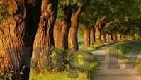 麻豆约拍app下载-探秘时尚瞬间，麻豆约拍APP——记录生活美学的智能伴侣