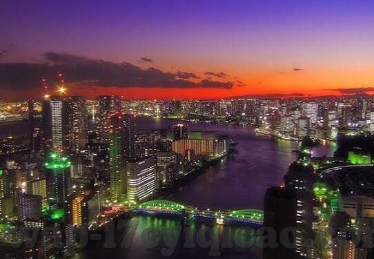 深夜释放自己vlog糖心-深夜的自由之旅——一部Vlog的甜蜜启程
