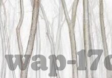 糖心app兑换码2021-2021年度糖心APP解锁新体验，专属兑换码的浪漫邂逅