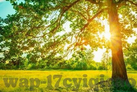 糖心交友app-探索情感新维度，深度体验糖心交友app的魅力与价值