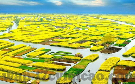 www.麻豆av在线-解锁数字世界的私密角落